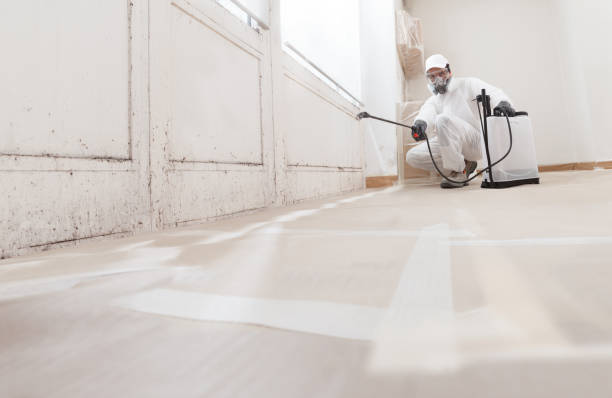 24/7 Emergency Basement Mold Removal experts in Harrellsville, NC